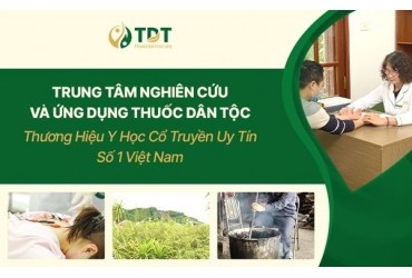 Trung Tâm Thuốc Dân Tộc - Thương Hiệu Y Học Cổ Truyền Số 1 [Khẳng Định Vị Thế và Uy Tín]